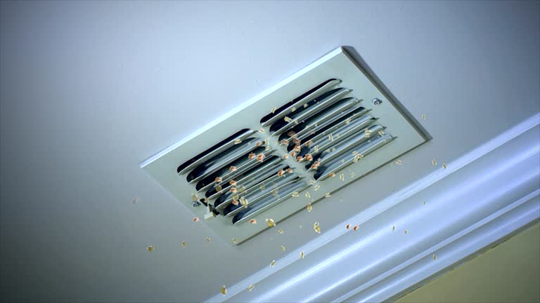 Best Air Duct Sanitizing Services  in Wausau, WI