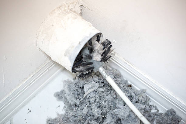 Best Air Duct Sanitizing Services  in Wausau, WI